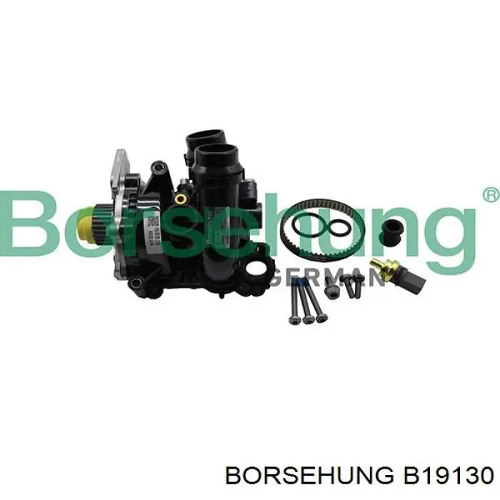 B19130 Borsehung bomba de agua, completo con caja