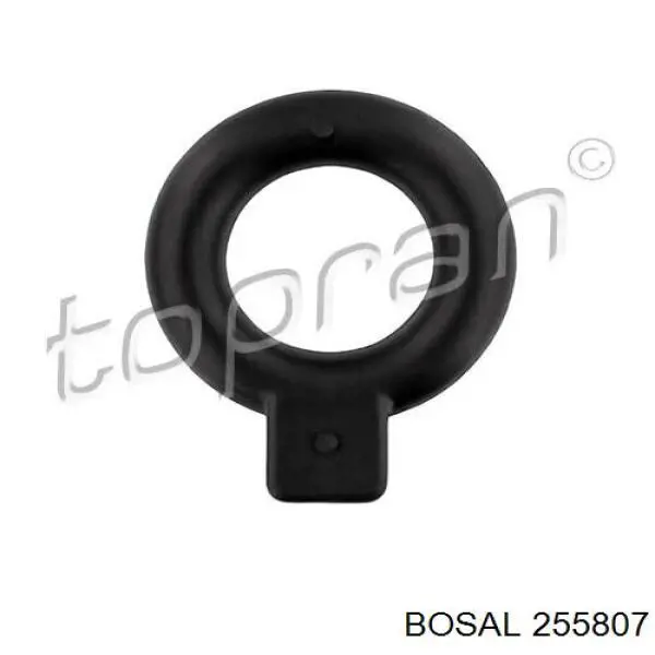 255-807 Bosal soporte, silenciador