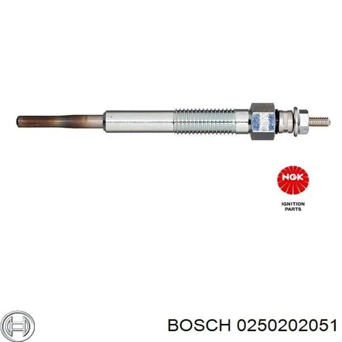 0250202051 Bosch bujía de incandescencia