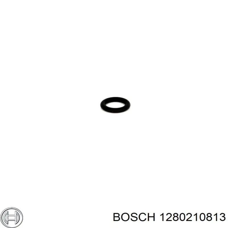 1280210813 Bosch junta anular, inyector