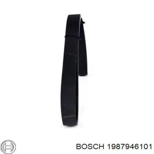 1 987 946 101 Bosch correa trapezoidal