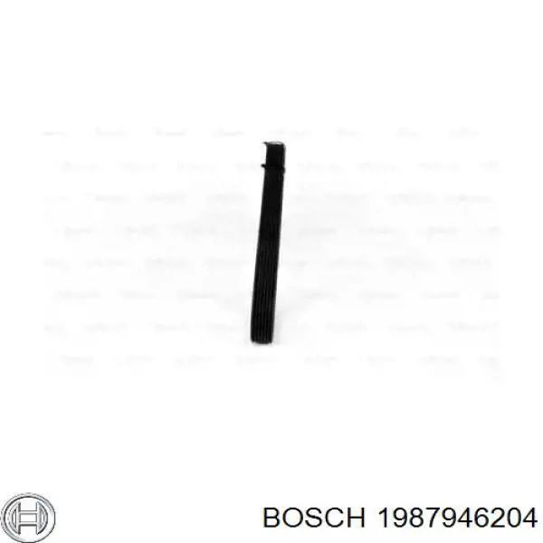 1 987 946 204 Bosch correa trapezoidal