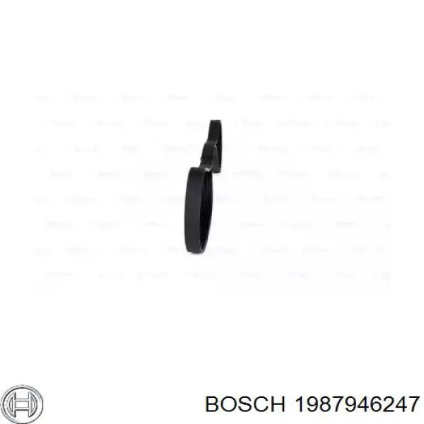 1 987 946 247 Bosch correa trapezoidal