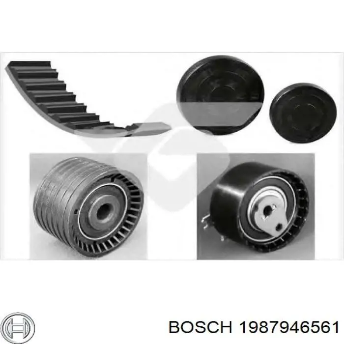 1987946561 Bosch kit correa de distribución