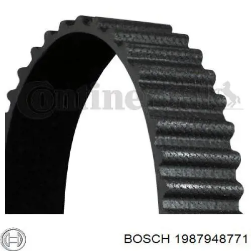 1987948771 Bosch correa distribucion