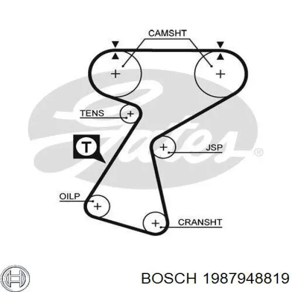 1987948819 Bosch correa distribucion