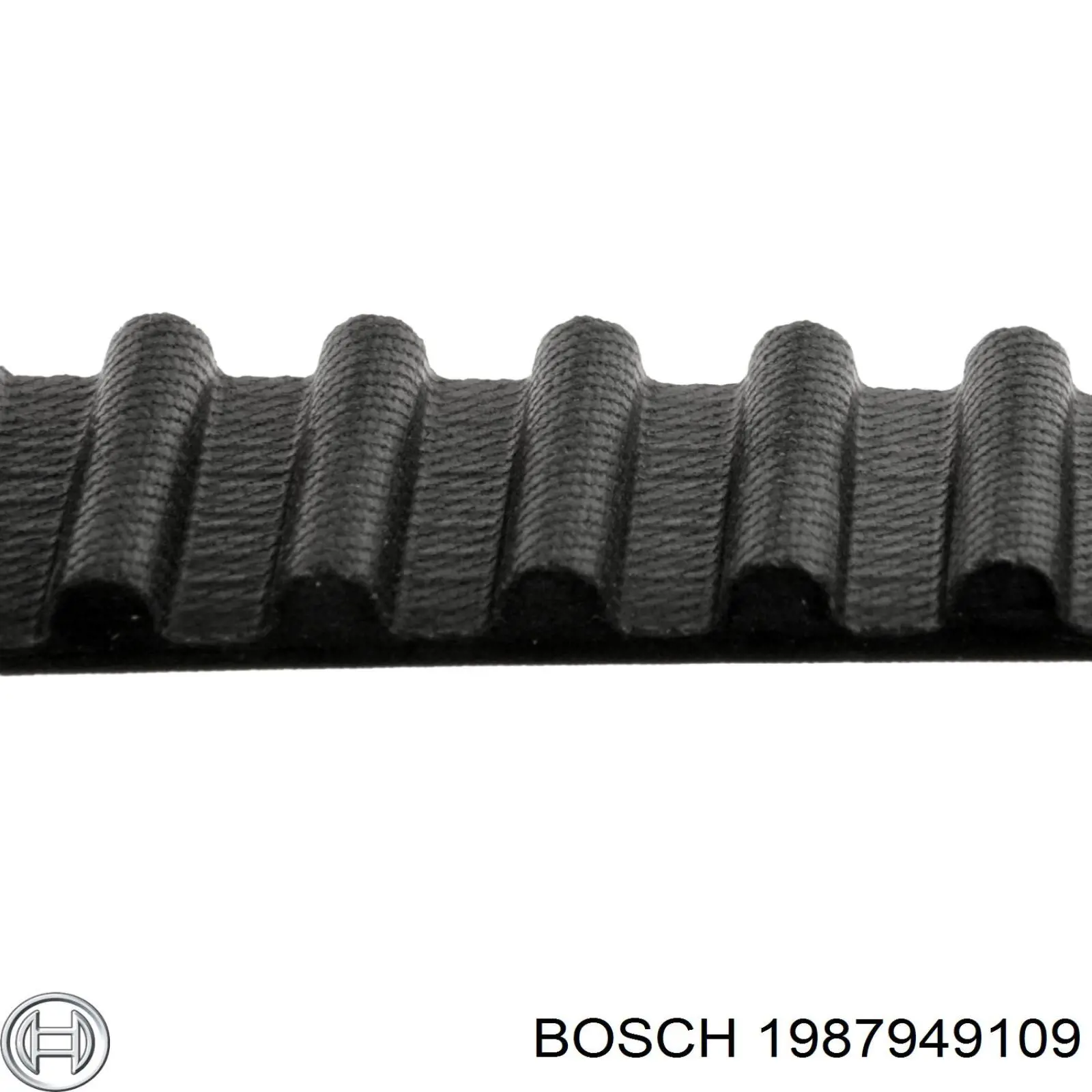 1987949109 Bosch correa distribucion