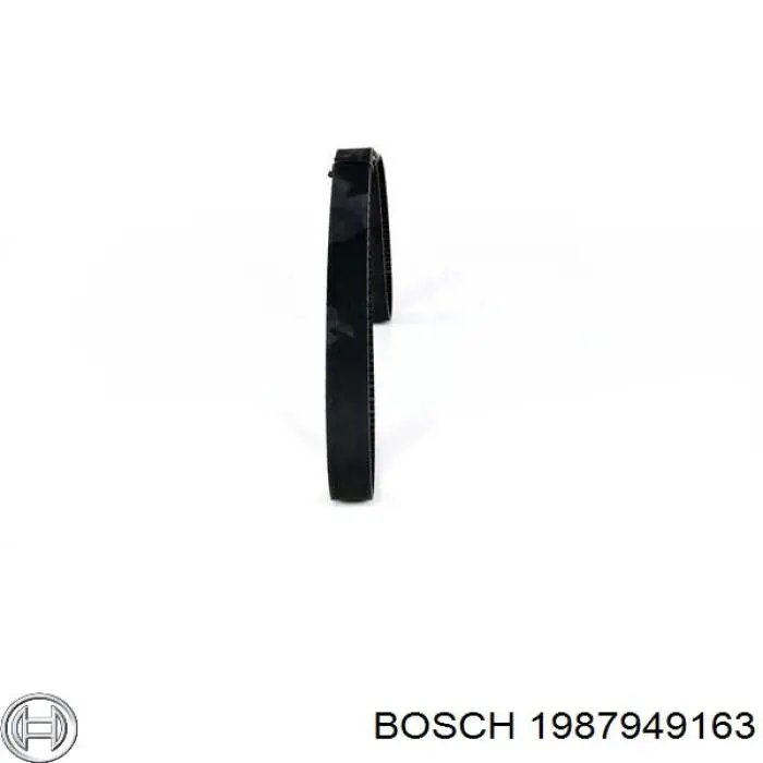 1987949163 Bosch correa distribucion