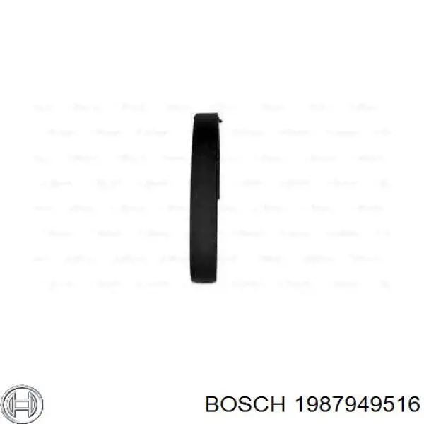 1987949516 Bosch correa distribucion