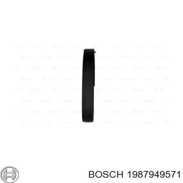 1987949571 Bosch correa distribucion