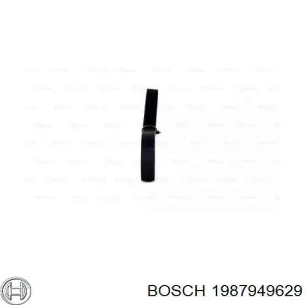 1987949629 Bosch correa distribucion