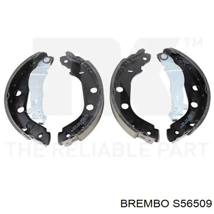 S 56 509 Brembo zapatas de frenos de tambor traseras