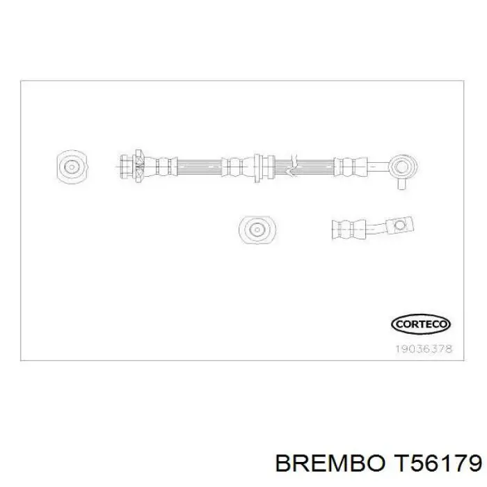 T56179 Brembo tubo flexible de frenos delantero izquierdo