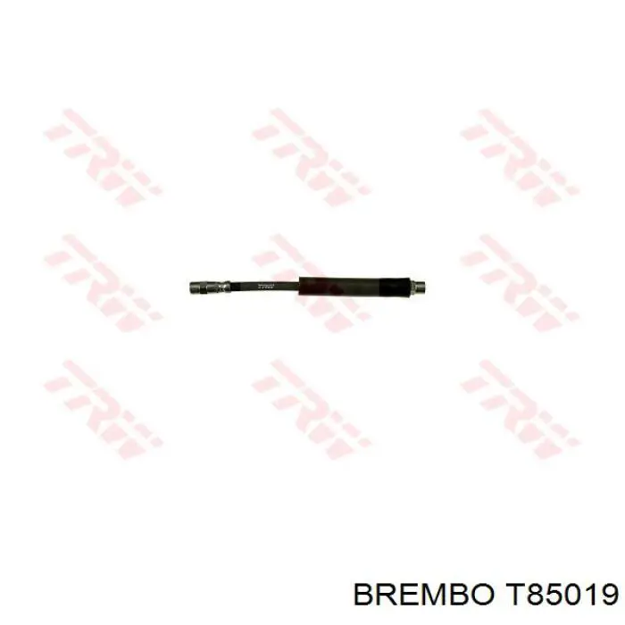 T85019 Brembo tubo flexible de frenos trasero izquierdo