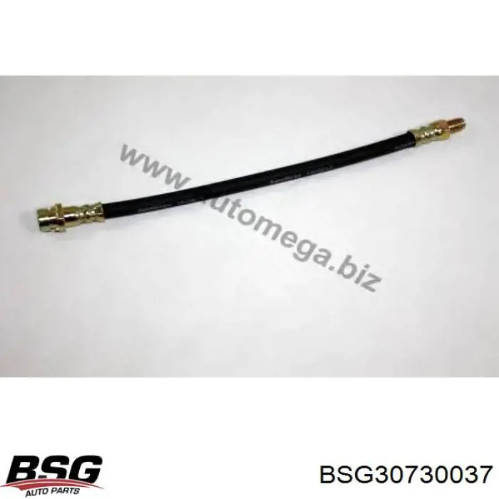 BSG 30-730-037 BSG tubo flexible de frenos trasero