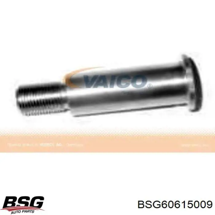 60-615-009 BSG soporte, brazo tensor, correa poli v