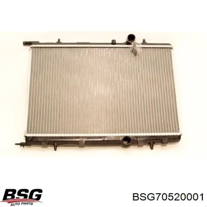 BSG 70-520-001 BSG radiador refrigeración del motor