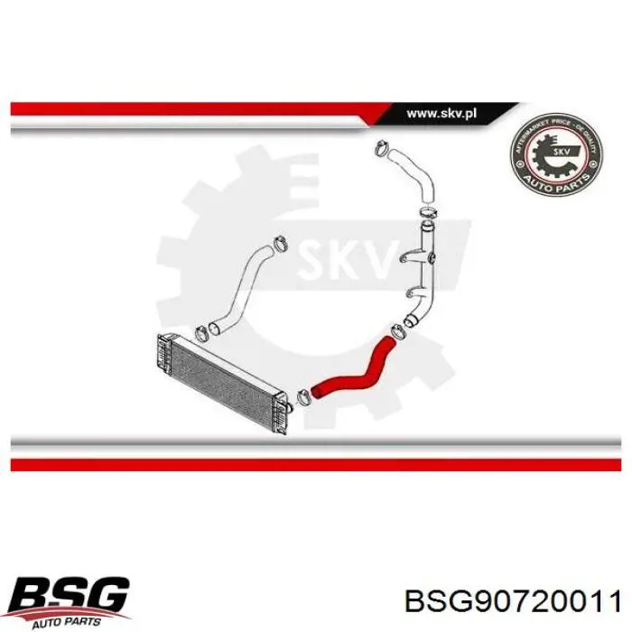 BSG 90-720-011 BSG tubo flexible de aire de sobrealimentación izquierdo