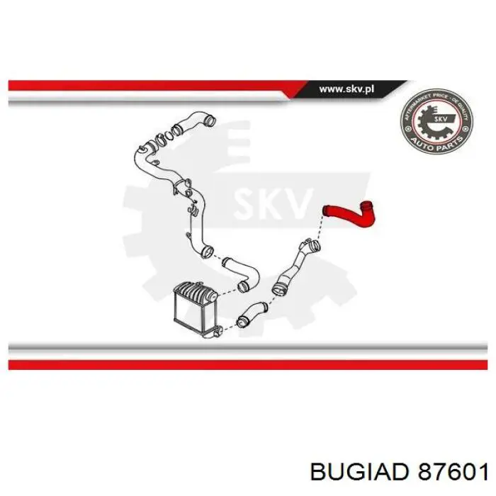 87601 Bugiad tubo flexible de aire de sobrealimentación