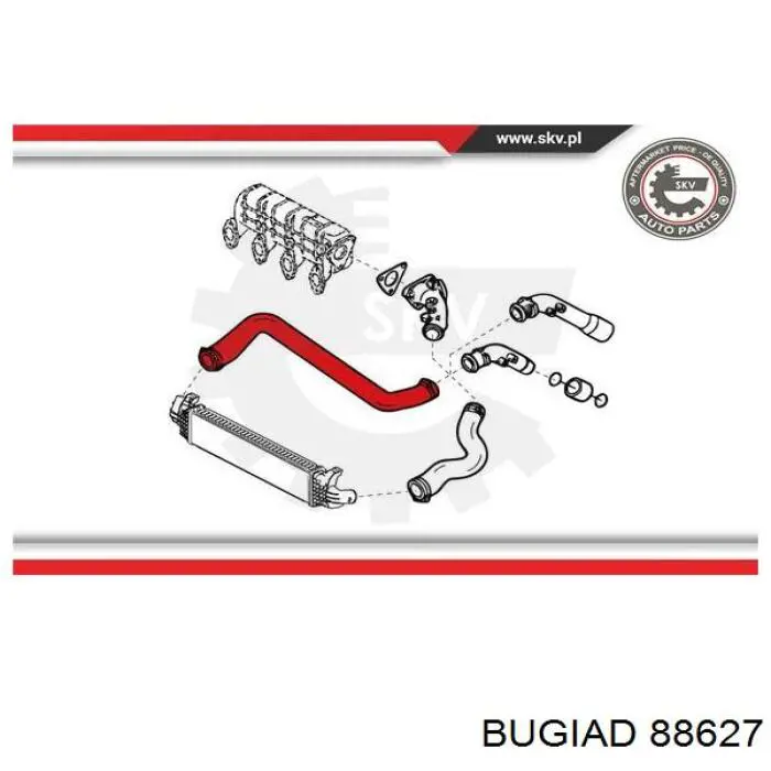 88627 Bugiad tubo flexible de aire de sobrealimentación derecho