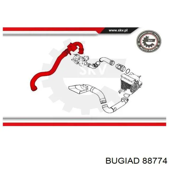 88774 Bugiad tubo flexible de aire de sobrealimentación superior
