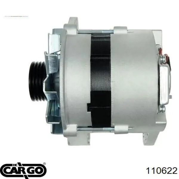 110622 Cargo alternador