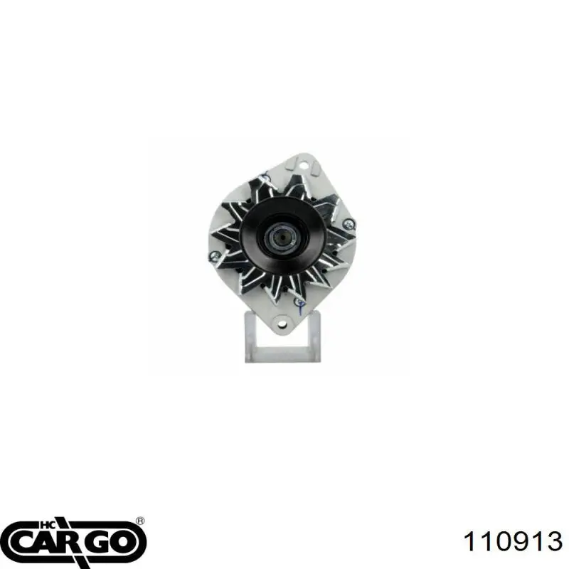 110913 Cargo alternador