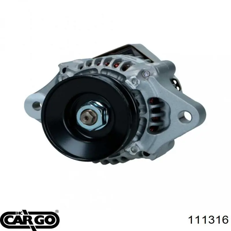 111316 Cargo alternador