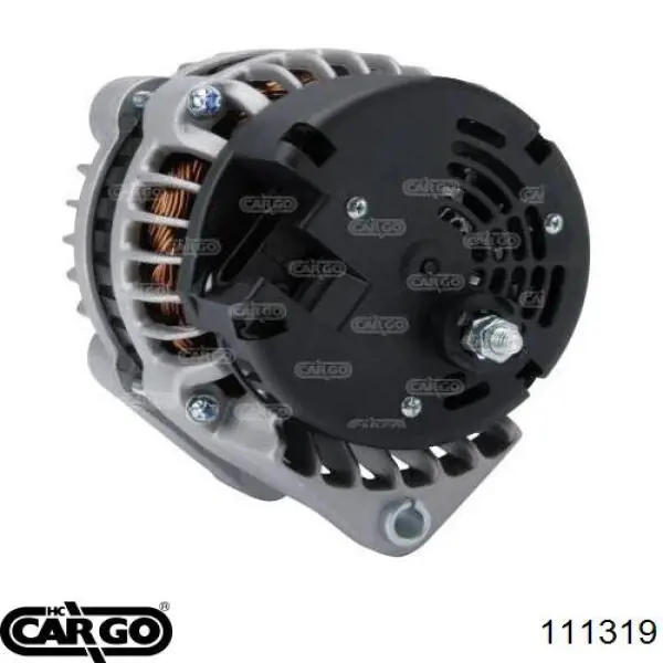 111319 Cargo alternador