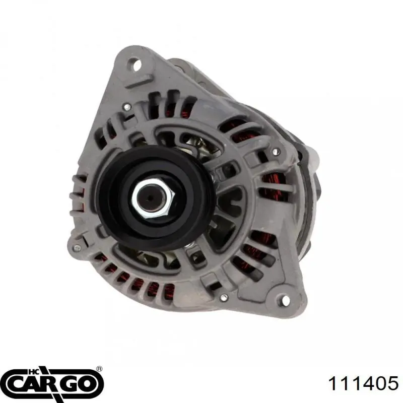 111405 Cargo alternador