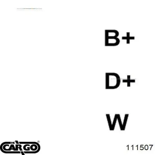 111507 Cargo alternador