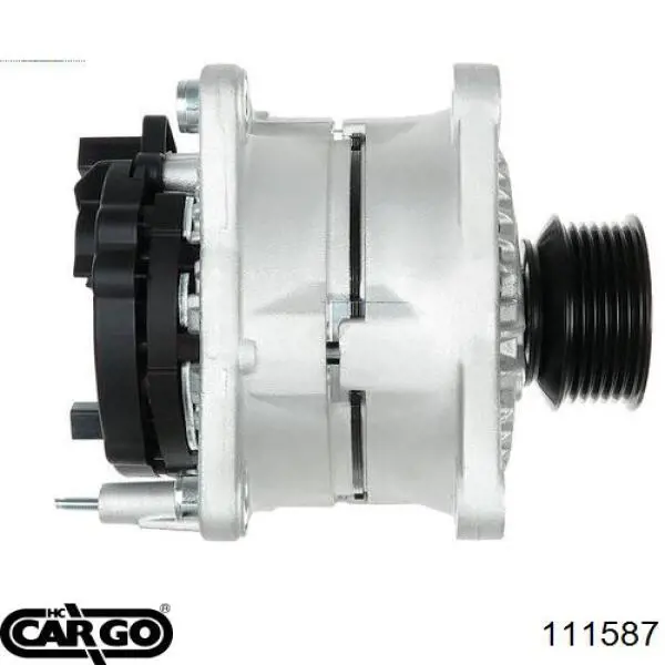 111587 Cargo alternador