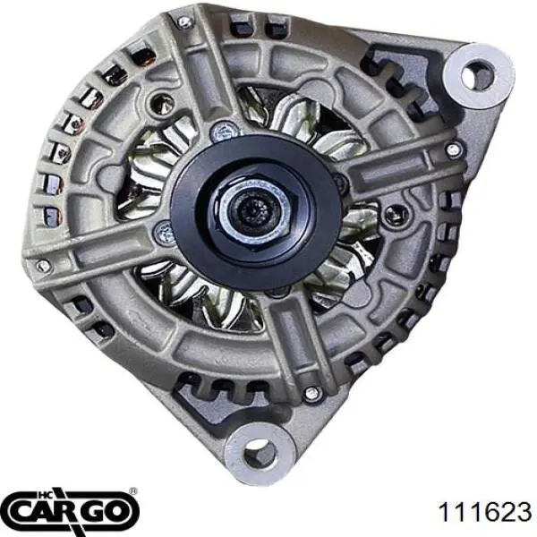 111623 Cargo alternador