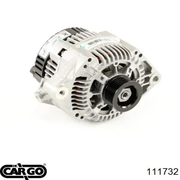 111732 Cargo alternador