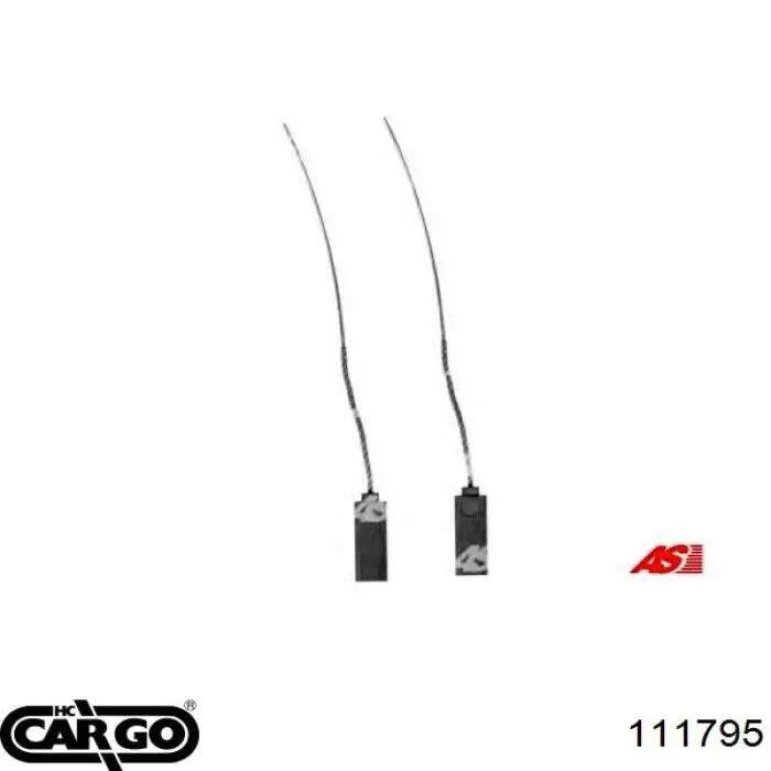 111795 Cargo alternador