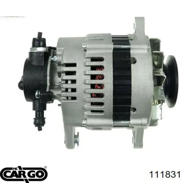 111831 Cargo alternador