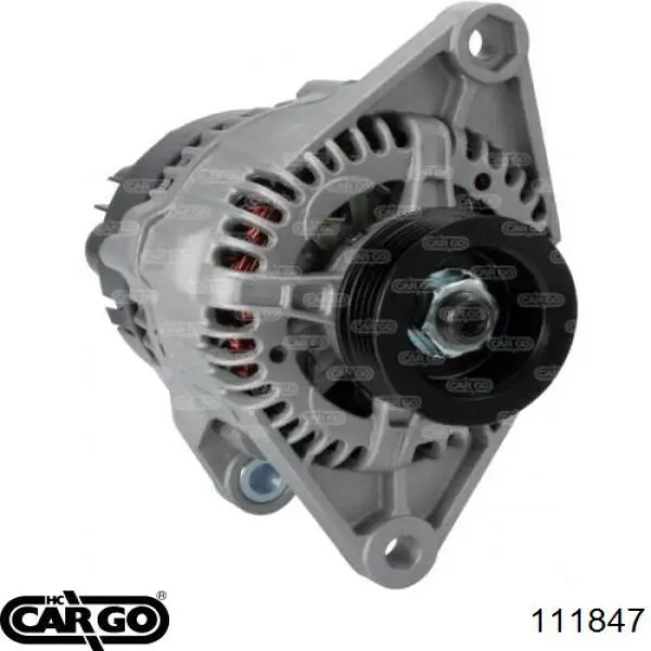 111847 Cargo alternador