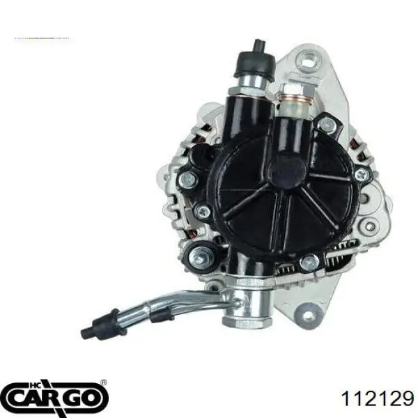 112129 Cargo alternador