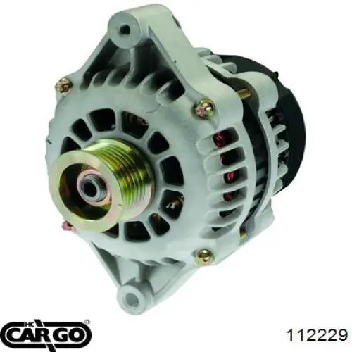 112229 Cargo alternador