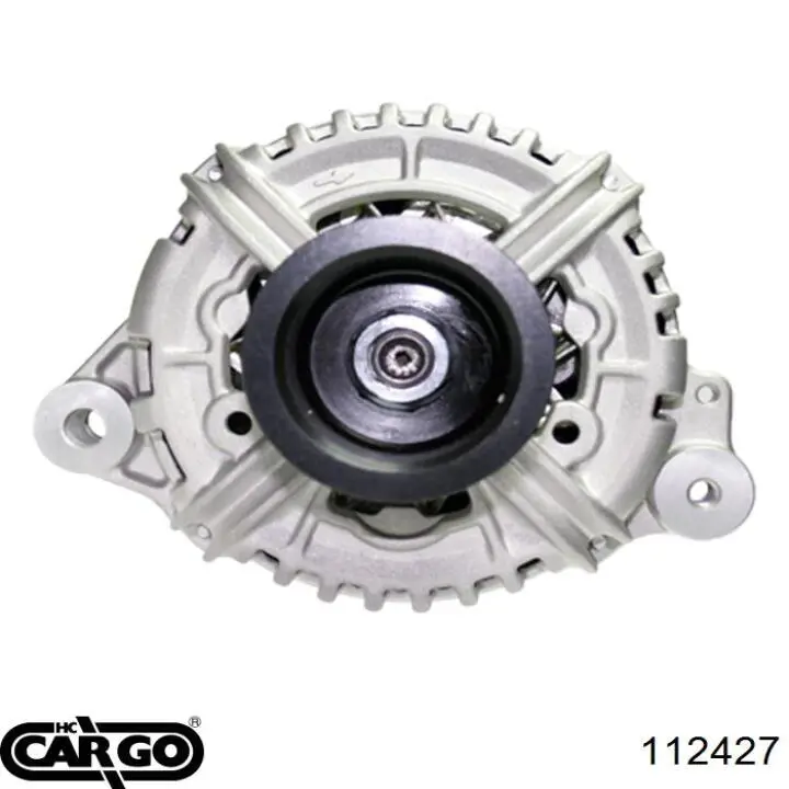 112427 Cargo alternador