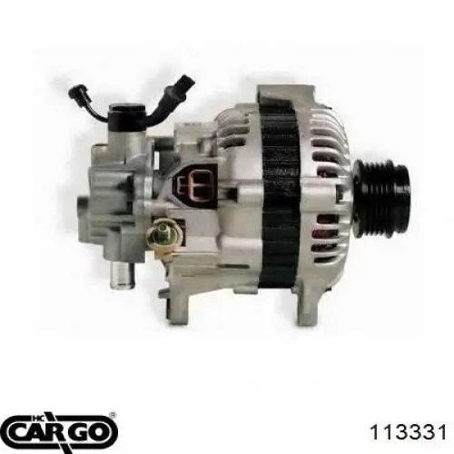 113331 Cargo alternador