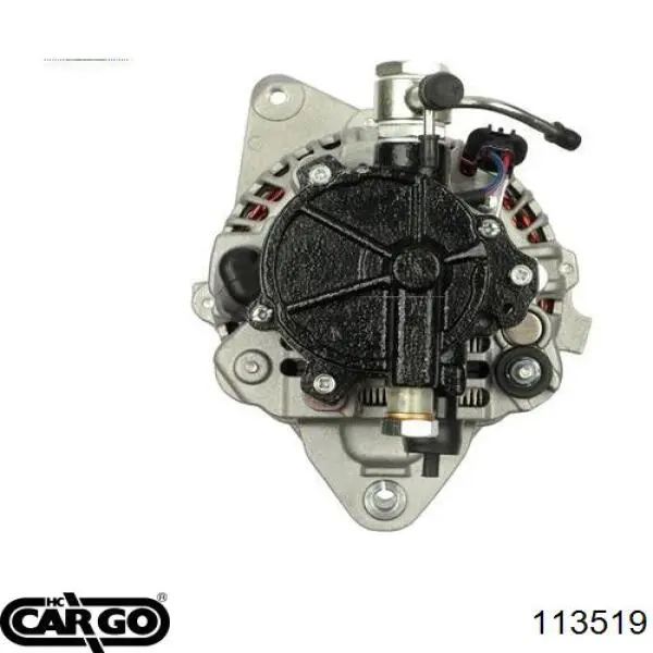 113519 Cargo alternador