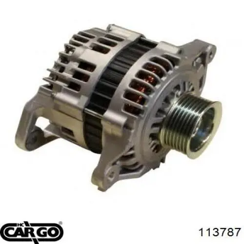 113787 Cargo alternador