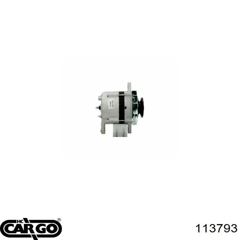 113793 Cargo alternador