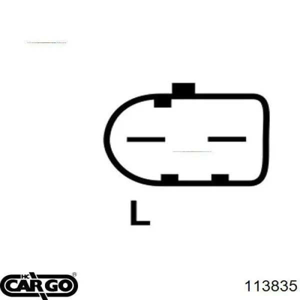 113835 Cargo alternador