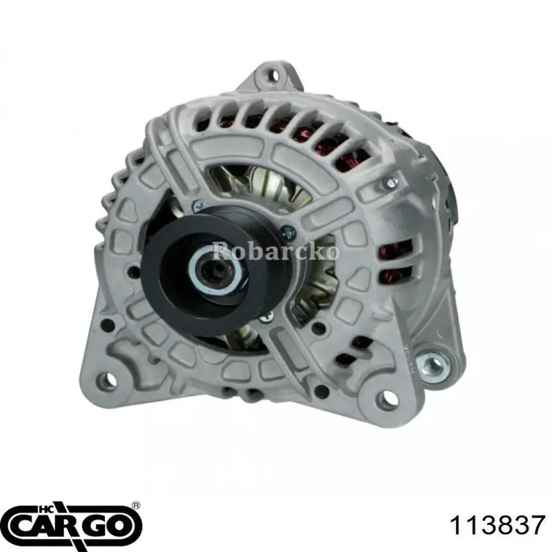 113837 Cargo alternador