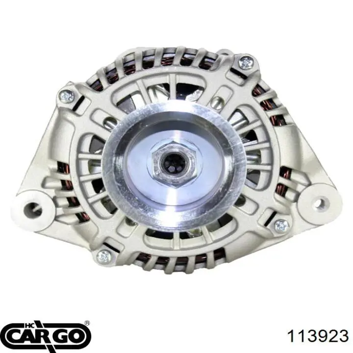 113923 Cargo alternador