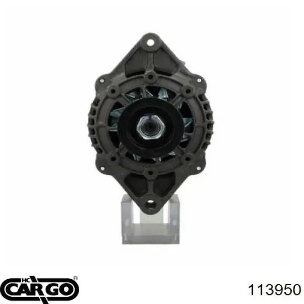 113950 Cargo alternador