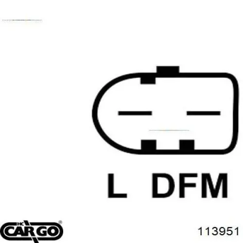 113951 Cargo alternador