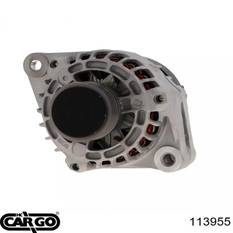 113955 Cargo alternador